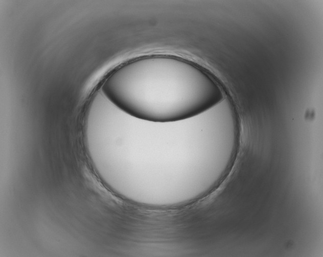 X0000114031502200910021028