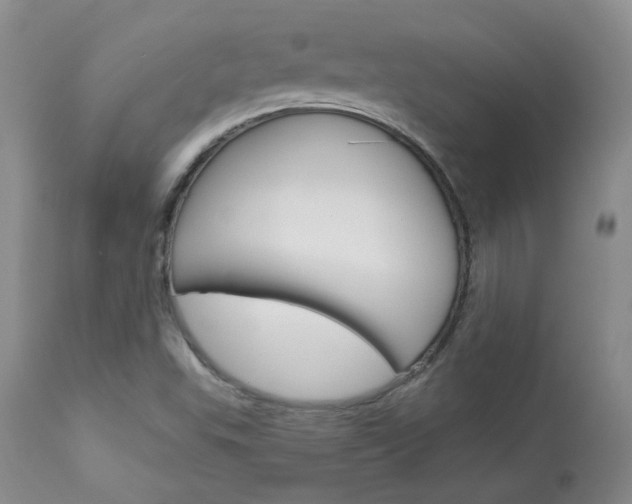 X0000114031503200910021028
