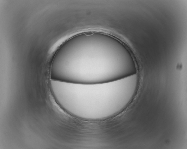 X0000114031504200910021028