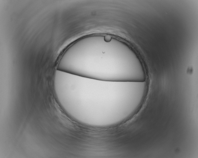 X0000114031505200910021028
