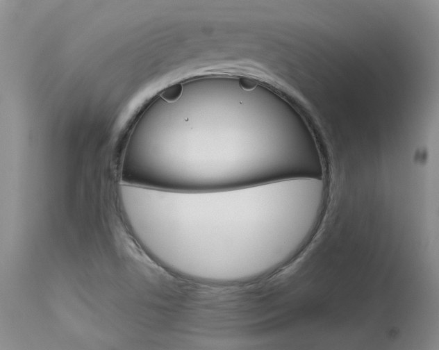 X0000114031506200910021028