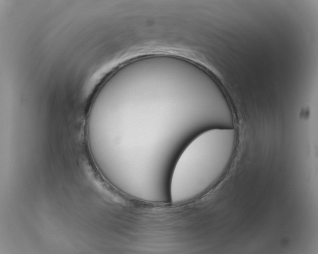 X0000114031507200910021028