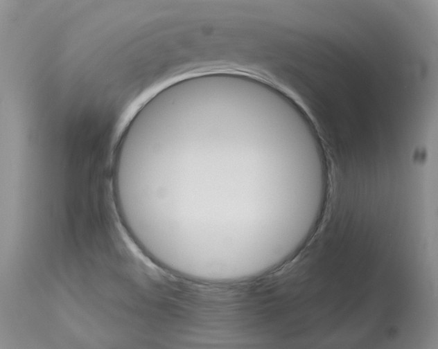 X0000114031508200910021028