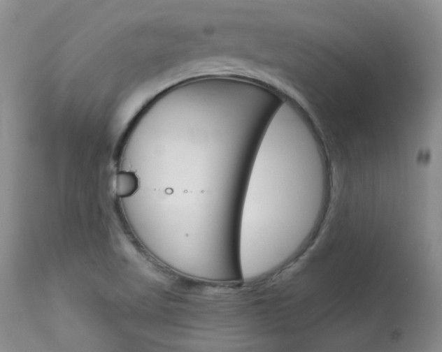 X0000114031509200910021028