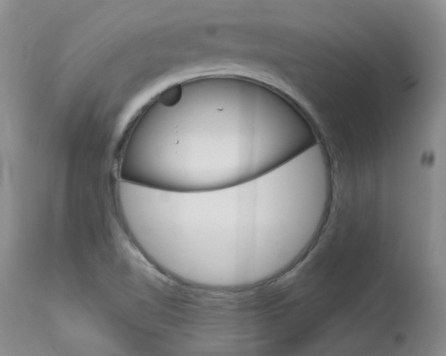 X0000114031510200910021028