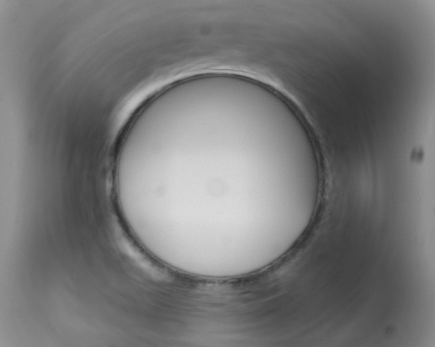 X0000114031511200910021028