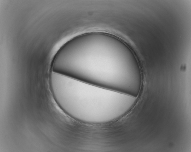 X0000114031512200910021028