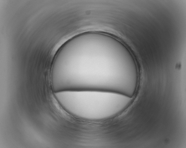 X0000114031513200910021028