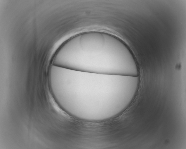 X0000114031515200910021028