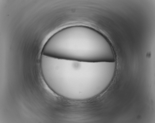 X0000114031516200910021028