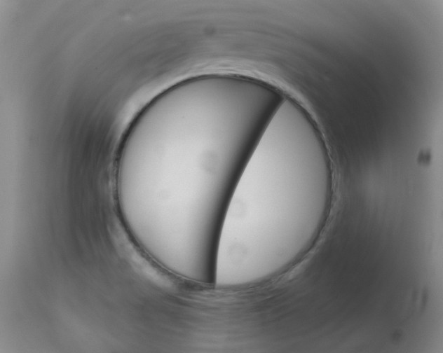 X0000114031517200910021028