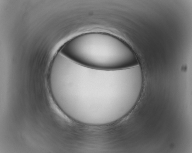 X0000114031518200910021028