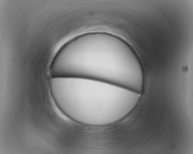 X0000114031519200910021028