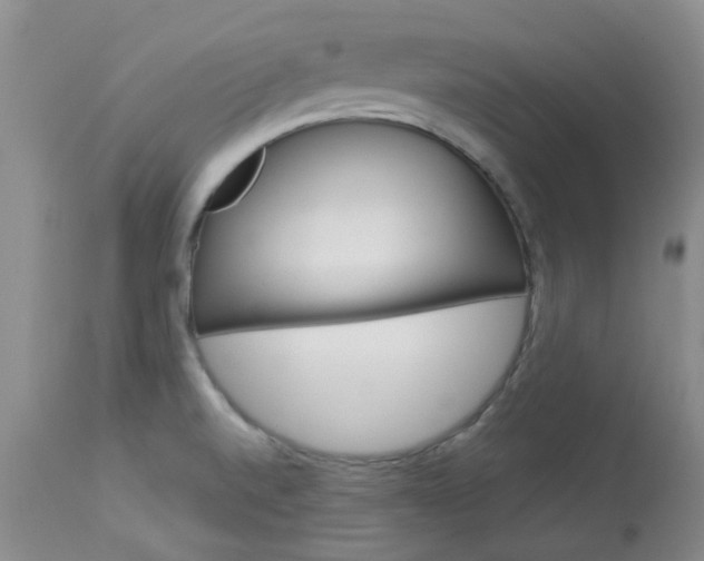 X0000114031520200910021028