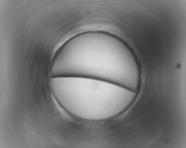 X0000114031521200910021028