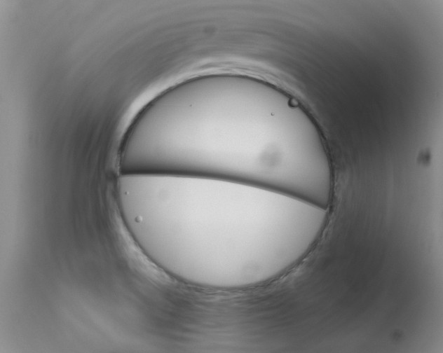 X0000114031522200910021028