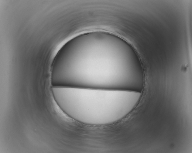X0000114031524200910021028