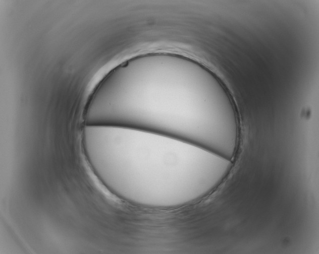 X0000114031525200910021028
