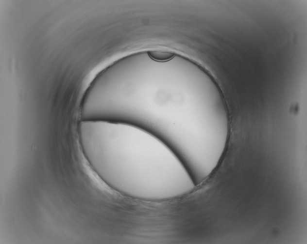 X0000114031526200910021028