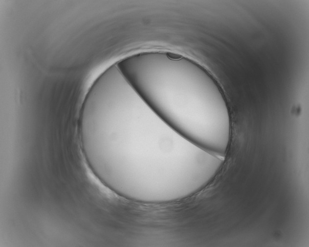 X0000114031527200910021028