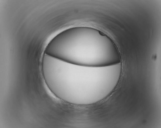 X0000114031528200910021028