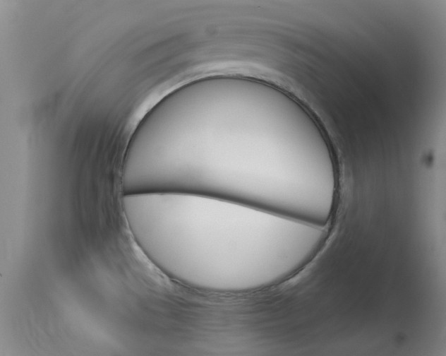 X0000114031529200910021028