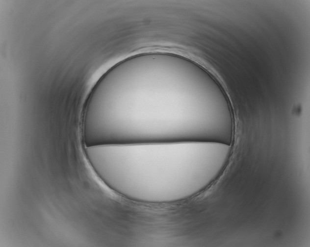 X0000114031533200910021028