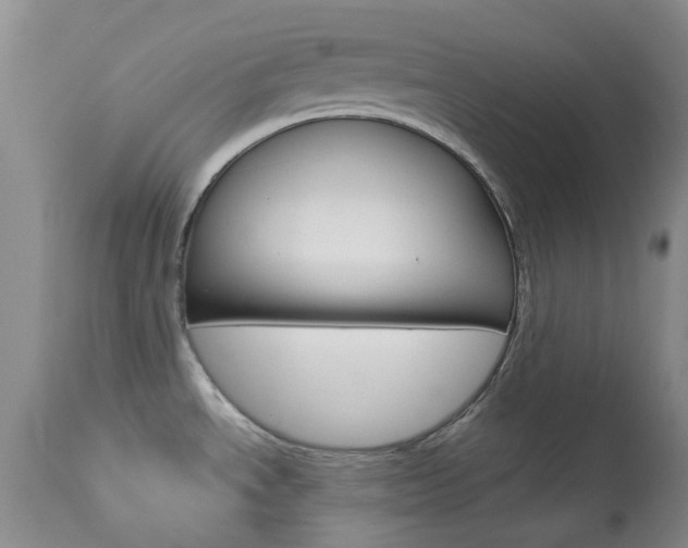 X0000114031534200910021028