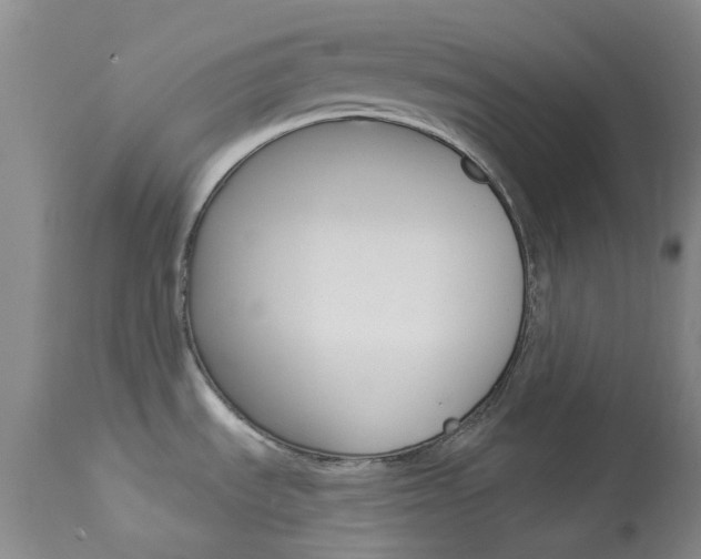 X0000114031535200910021028