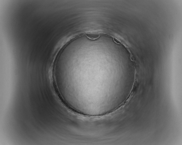 X0000114030002200910021448