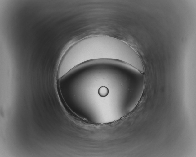 X0000114030003200910021448