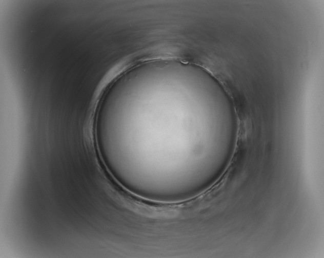 X0000114030004200910021448