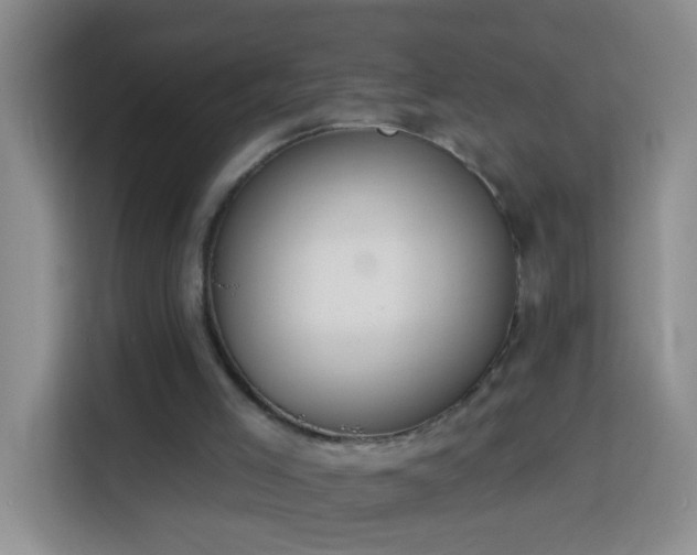 X0000114030005200910021448