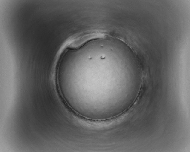 X0000114030006200910021448