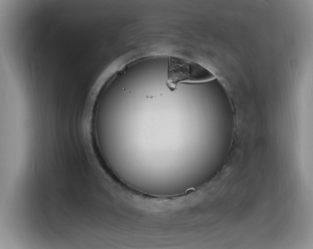 X0000114030007200910021448
