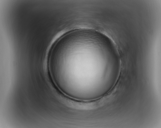 X0000114030008200910021448