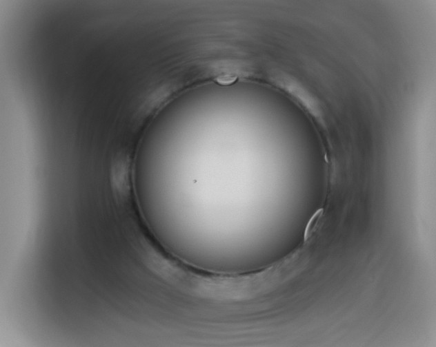 X0000114030009200910021448