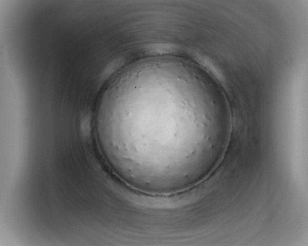 X0000114030010200910021448