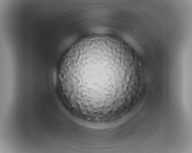 X0000114030014200910021447
