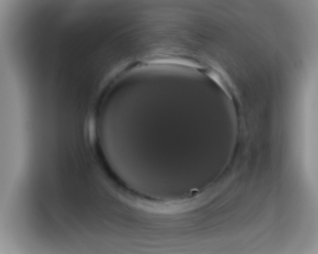 X0000114030019200910021447