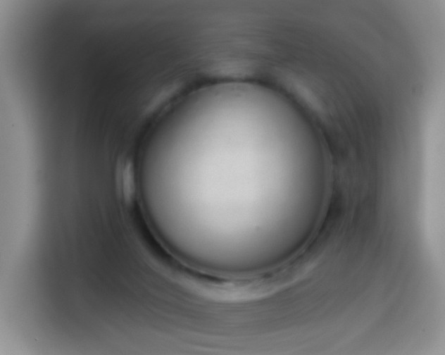 X0000114030020200910021447