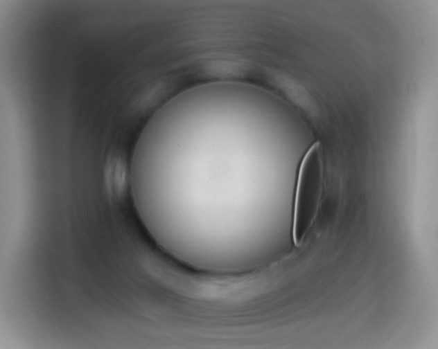 X0000114030021200910021447