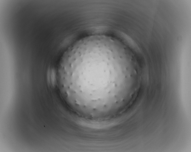 X0000114030022200910021447