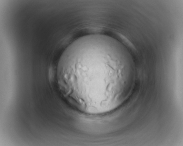 X0000114030026200910021447