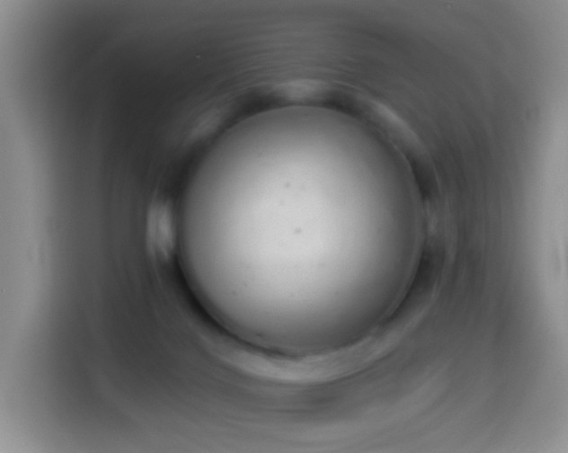 X0000114030028200910021447