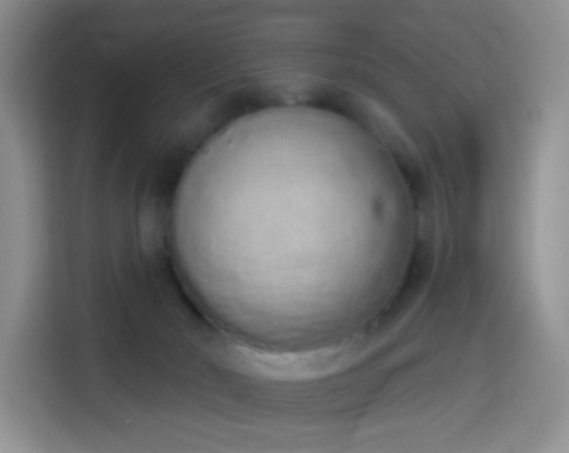 X0000114030030200910021447