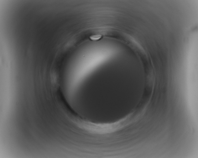 X0000114030031200910021447