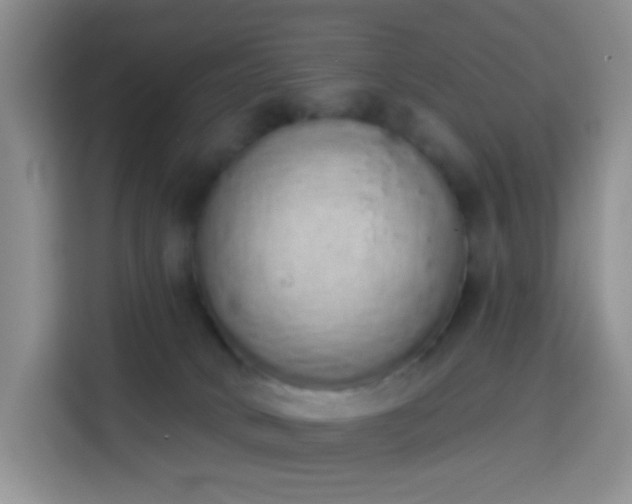 X0000114030034200910021447