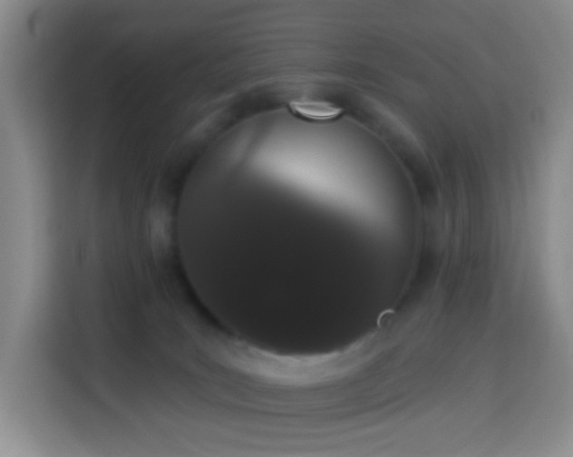 X0000114030035200910021447