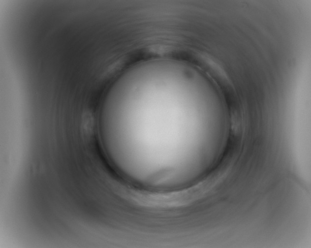 X0000114030036200910021447